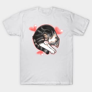 A Cat Named Manga T-Shirt